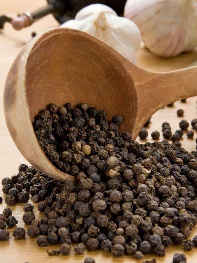 Why You Need to Incorporate Black Pepper Into Your Winter Recipes? Why You Need to Incorporate Black Pepper Into Your Winter Recipes?