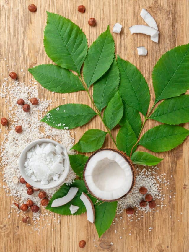 5 Natural Sugar Alternatives For People With Diabetes