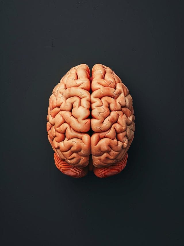 6 Worst Foods For Your Brain