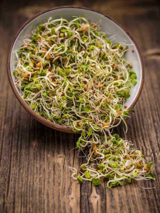 5 Benfits Of Sprouts For Weight Loss