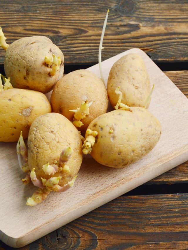 Are Sprouted Potatoes Healthy?