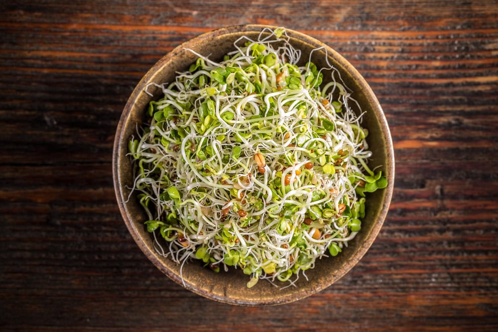 methi