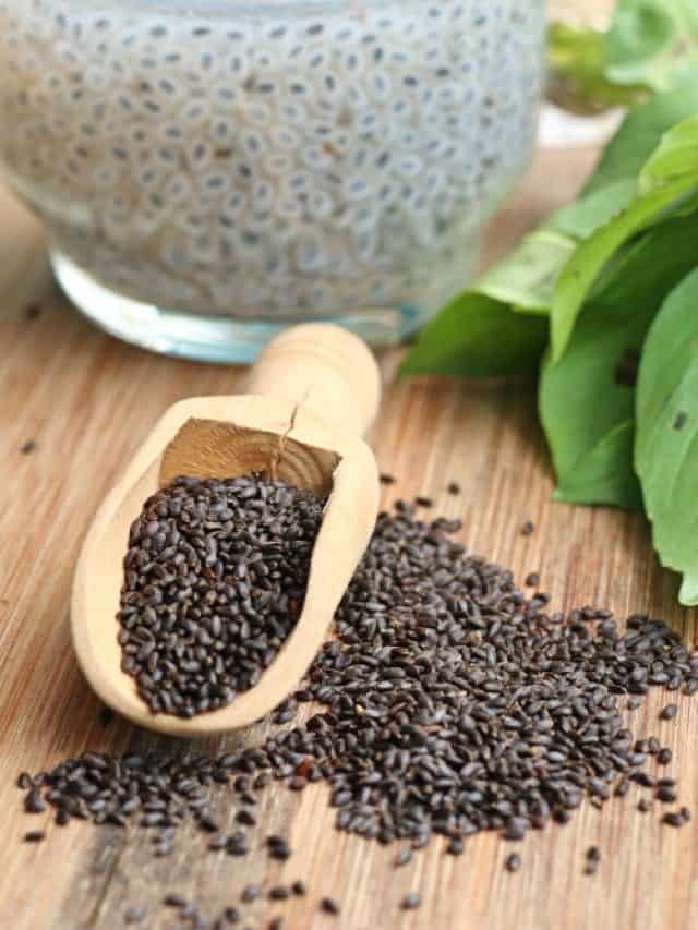5 Delicious Ways to Enjoy Soaked Sabja Seeds 5 Delicious Ways to Enjoy Soaked Sabja Seeds
