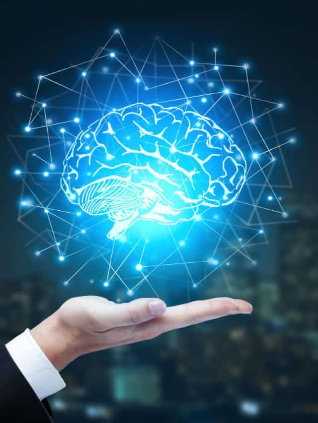 6 Foods To Sharpen Your Memory