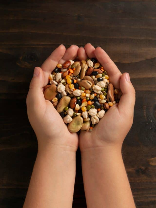 5 Best Pulses To Control Blood Sugar Levels