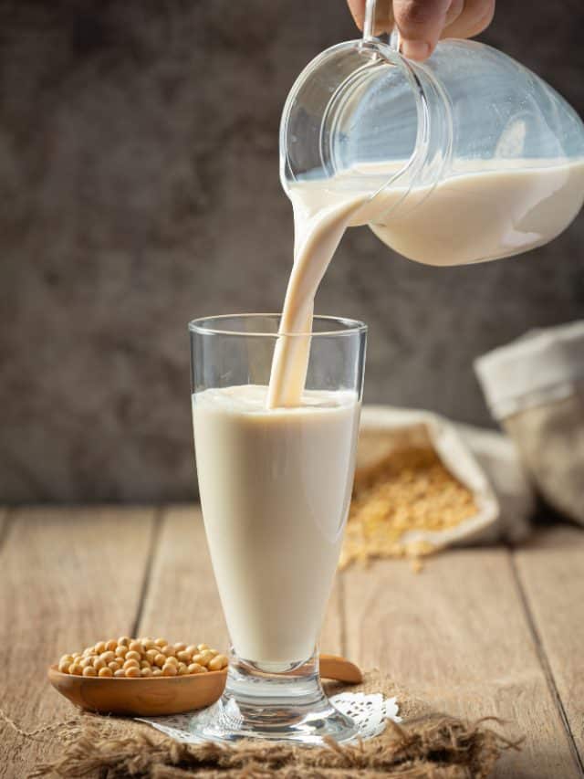 7 Best Milk Alternatives For Lactose Intolerants 7 Best Milk Alternatives For Lactose Intolerants