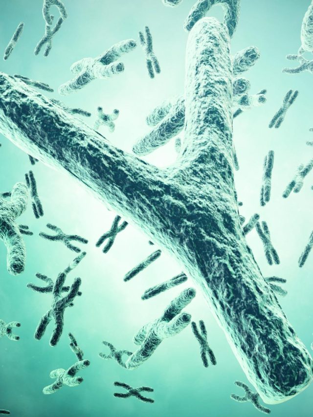 Is The Y Chromosome Slowly Disappearing In Men? Is The Y Chromosome Slowly Disappearing In Men?