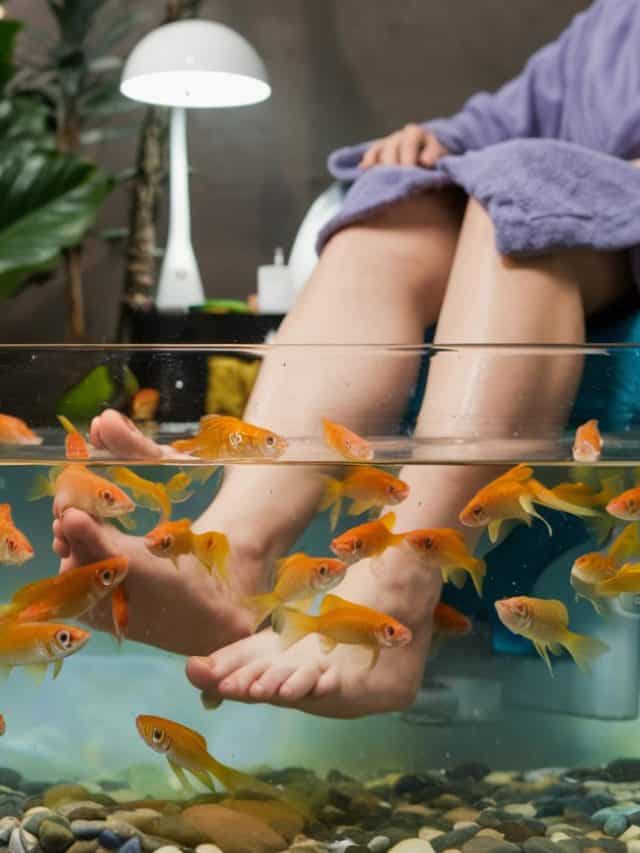 Are Fish Pedicures Safe & Are There Any Benefits?