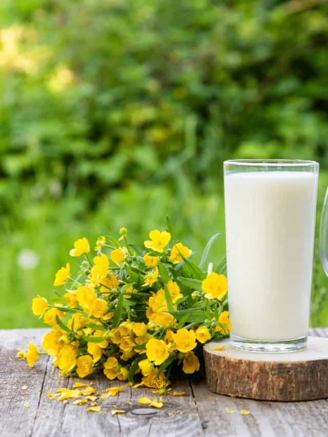 Supercharge Your Milk With Top 7 Ingredients