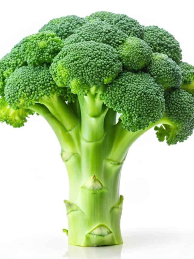 7 Ways To Enjoy Broccoli & It’s Benefits