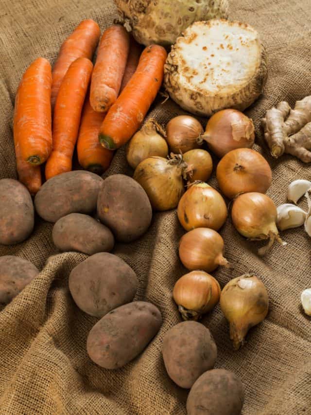 6 Root Vegetables & Their Advantages