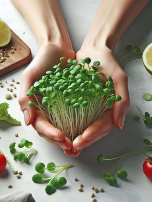 7 benefits of having sprouts in the morning