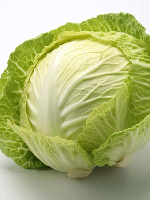5 Reasons Why Cabbage Should Be Included In Your Diet