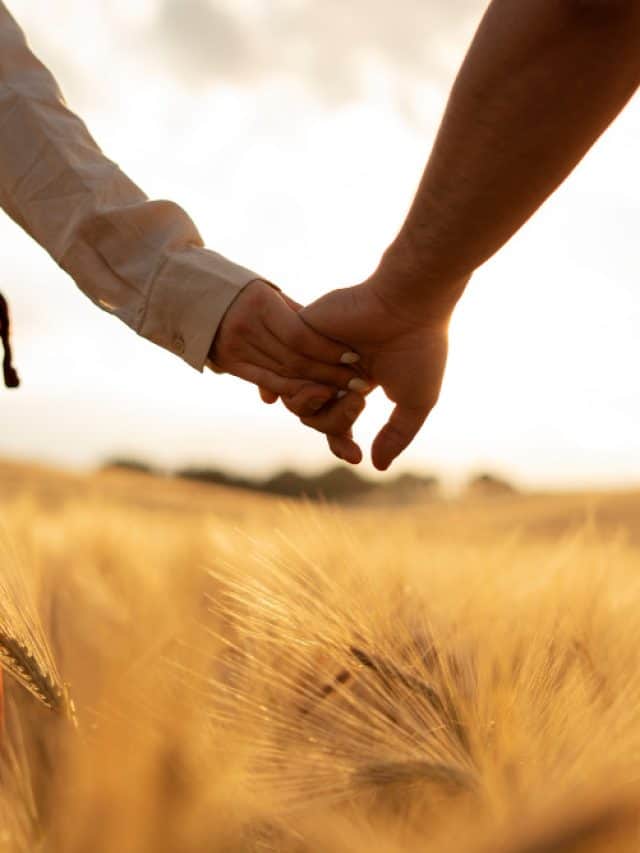 Top 5 Foods To Improve Sexual Health Top 5 Foods To Improve Sexual Health