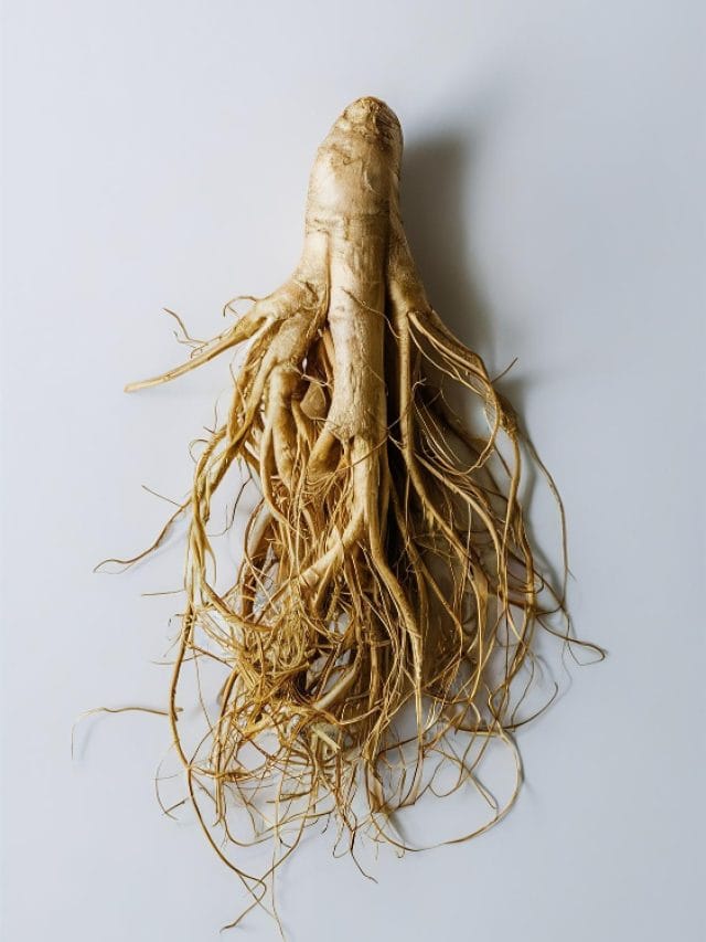 5 Amazing health benefits of ginseng 5 Amazing health benefits of ginseng