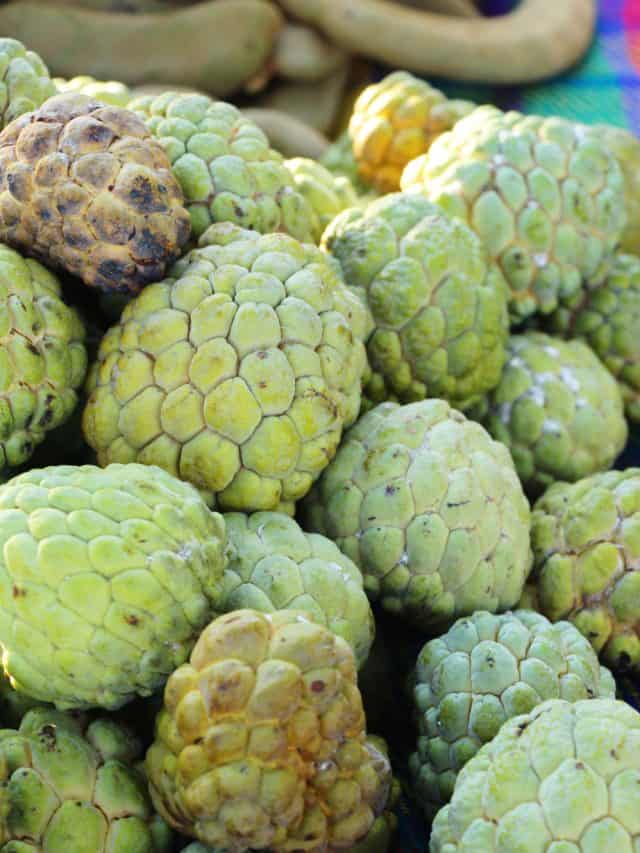5 health benefits of custard apple