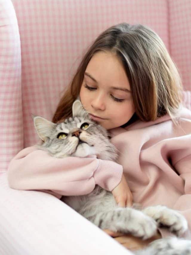 Winter pet safety: 5 hidden hazards to avoid