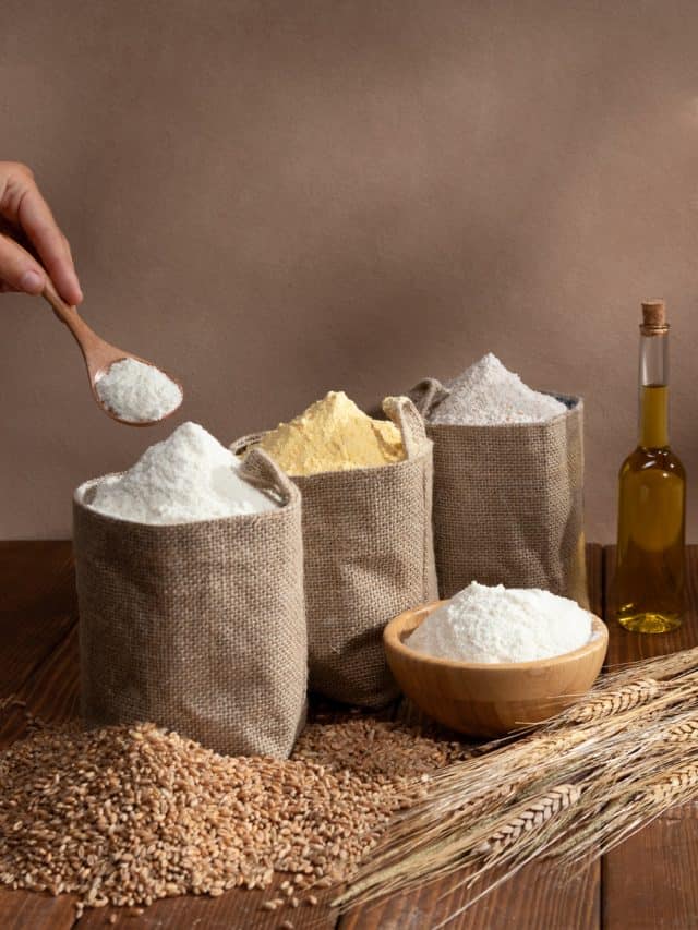 4 best high-protein flours to energize your daily diet 4 best high-protein flours to energize your daily diet