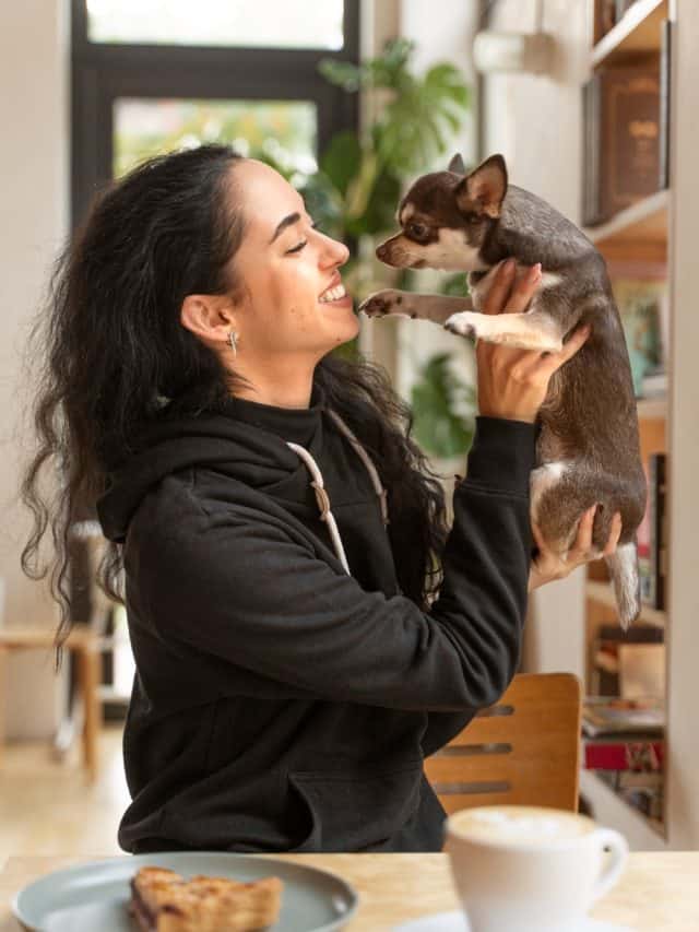 6 mental health benefits of having a pet