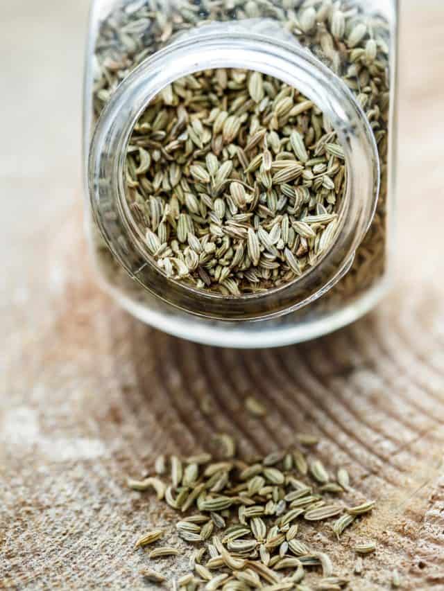 5 Benefits Of Chewing Fennel Seeds After Meals