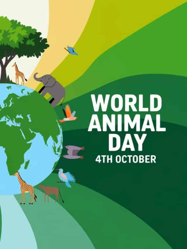 World Animal Day: 6 Simple Tips To Care For Your Pets