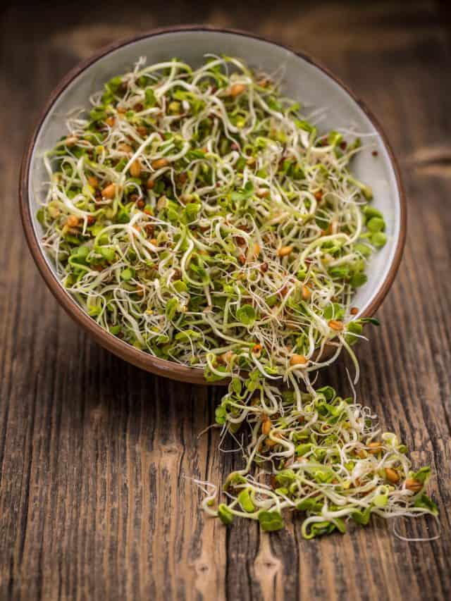 वजन घटाने समेत ये हैं मेथी स्प्रॉउट्स खाने के 5 फायदे वजन घटाने समेत ये हैं मेथी स्प्रॉउट्स खाने के 5 फायदे