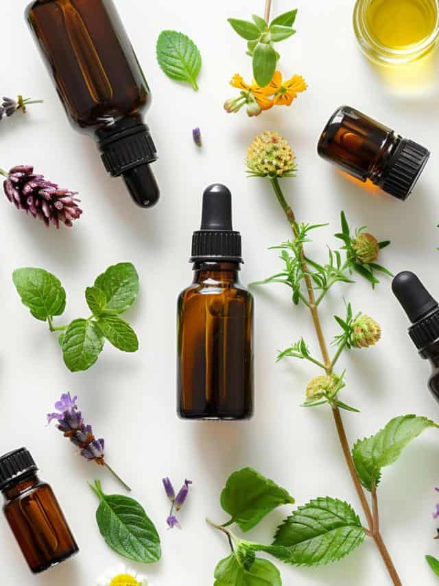 5 Essential Oils That Can Be Used As Perfume