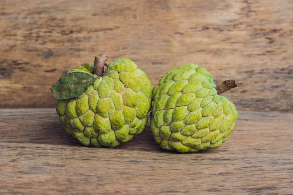 Custard apple
