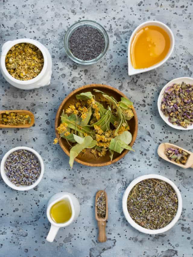 5 herbal teas to uplift your mood this winter 5 herbal teas to uplift your mood this winter