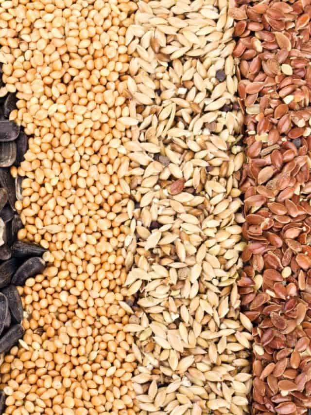 Boost your winter wellness with top 5 super seeds