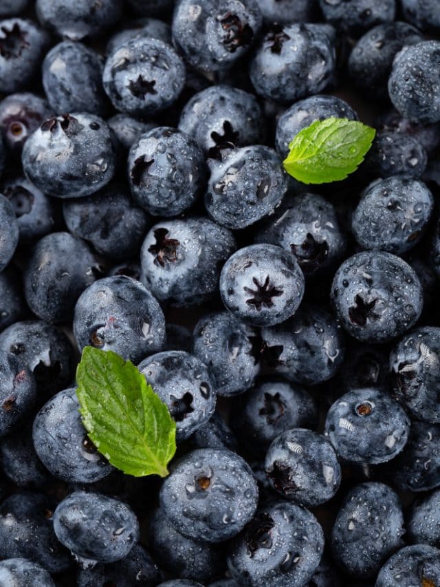 Why blueberries are a must-have superfood for better health?