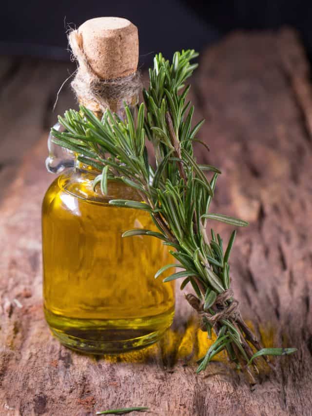 7 benefits of using rosemary oil for hair growth 7 benefits of using rosemary oil for hair growth