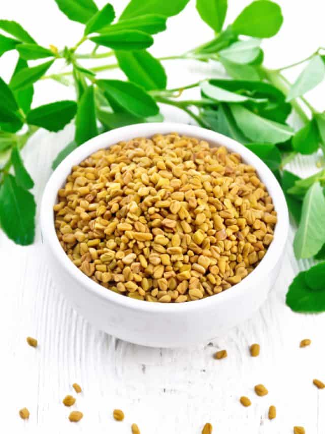 Winter superfood magic: Methi leaves recipes for warmth & wellness