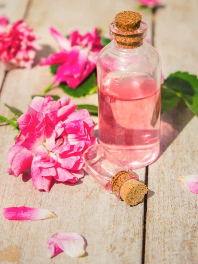 How to use rosewater for hair growth?