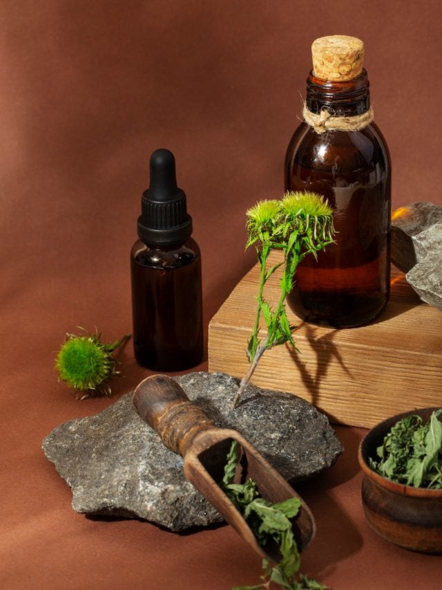 Medicinal plants to promote hair growth