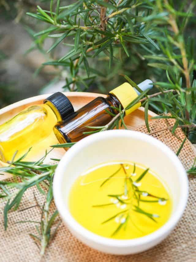 5 ways to use rosemary oil to control hair fall