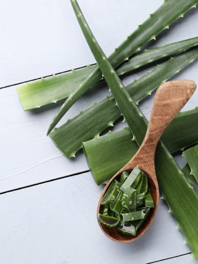 The amazing health benefits of aloe vera you should know The amazing health benefits of aloe vera you should know