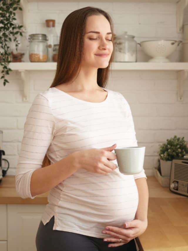 5 best herbal tea for pregnant woman 5 best herbal tea for pregnant woman