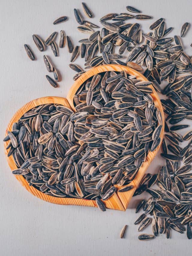 Top 4 health benefits of sunflower seeds Top 4 health benefits of sunflower seeds
