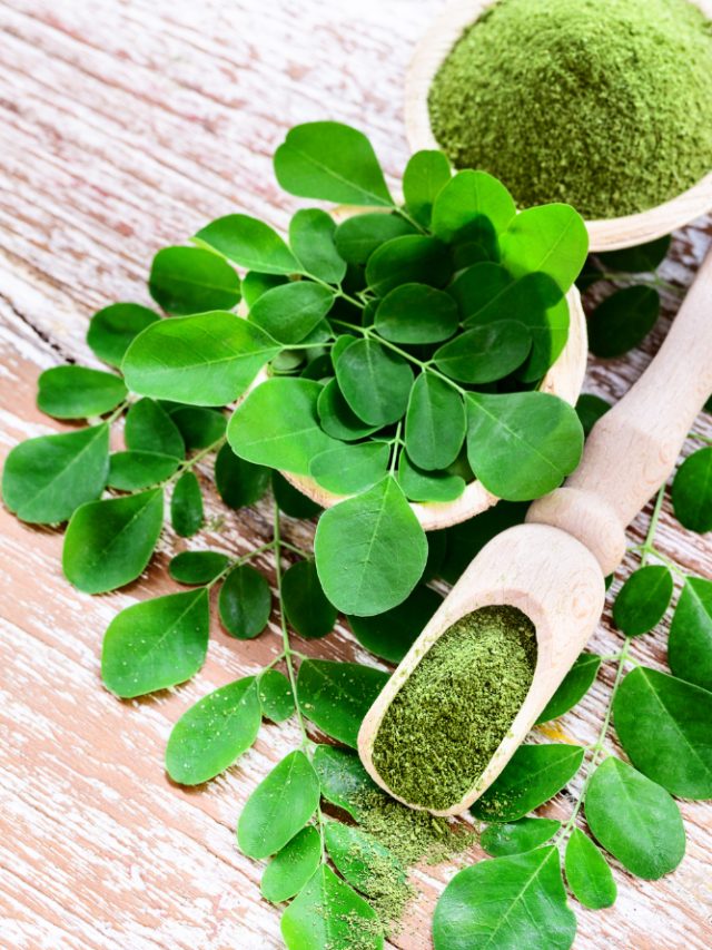 5 ways to use superfood moringa for hair growth 5 ways to use superfood moringa for hair growth