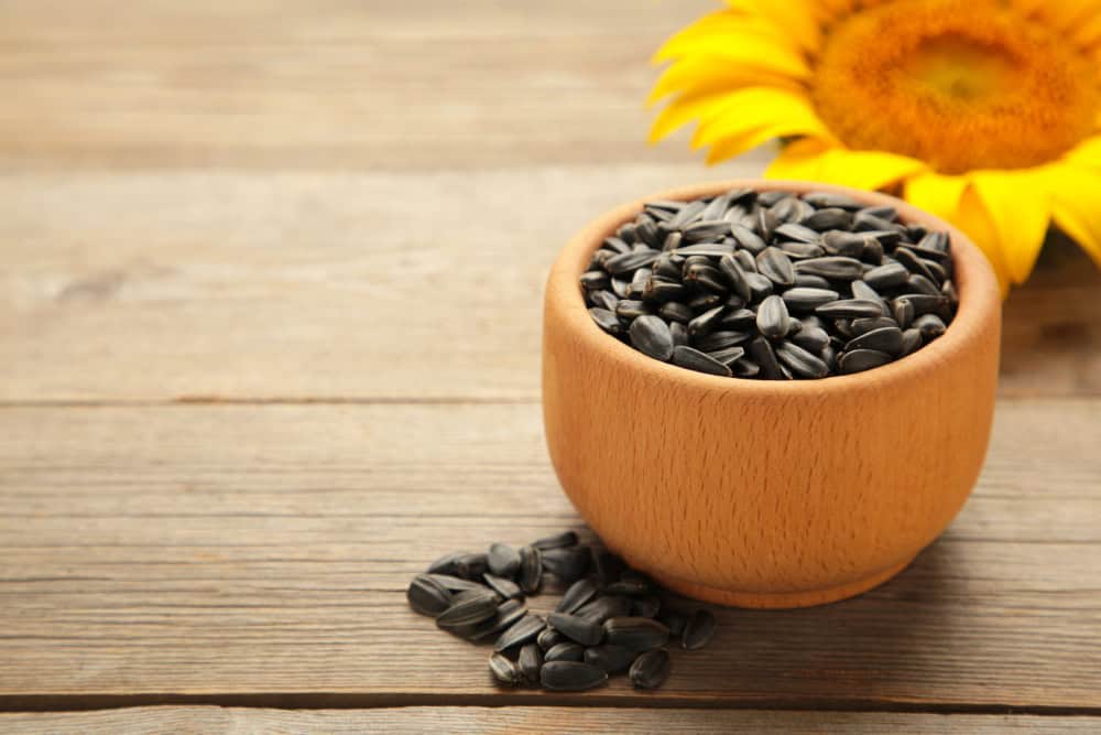 Sunflower seeds