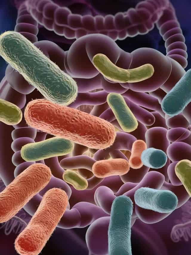 5 benefits of taking probiotics 5 benefits of taking probiotics
