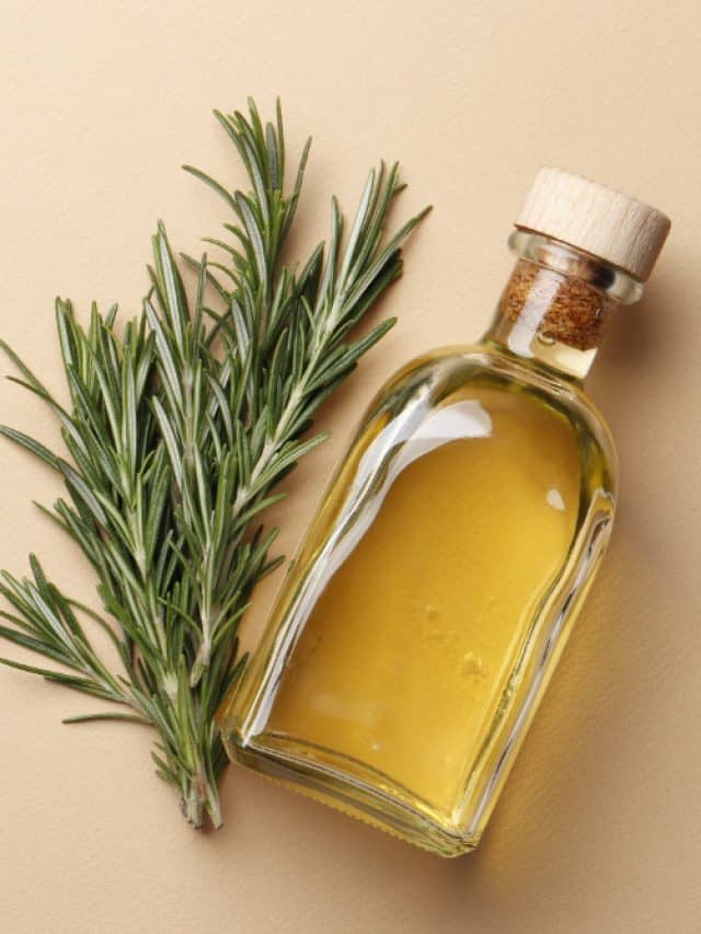 Tips to use rosemary oil for hair growth Tips to use rosemary oil for hair growth