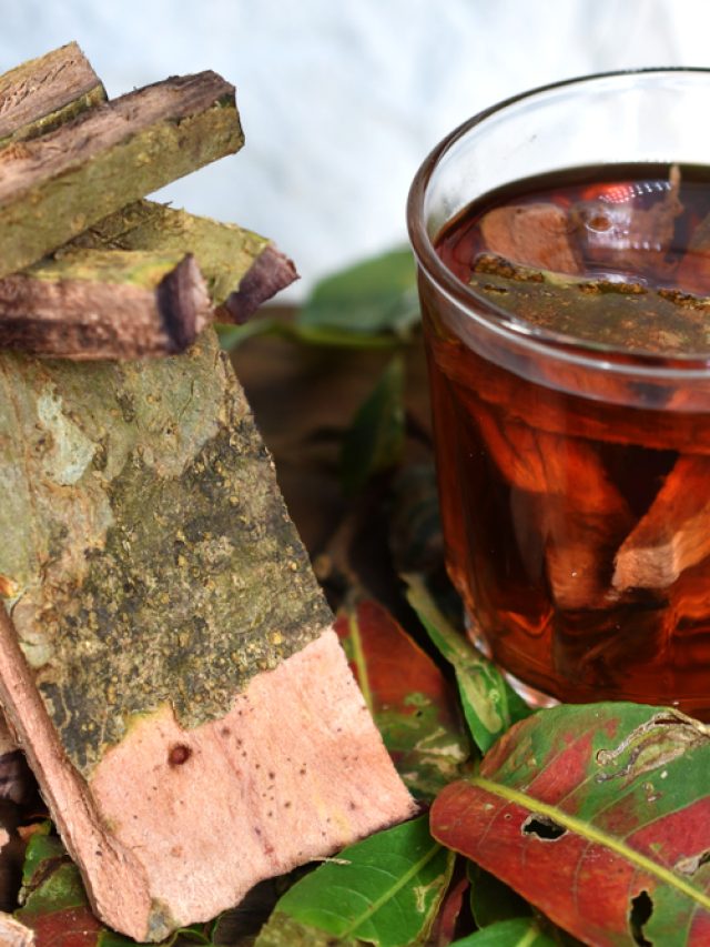 7 reasons to start drinking Arjun bark water today