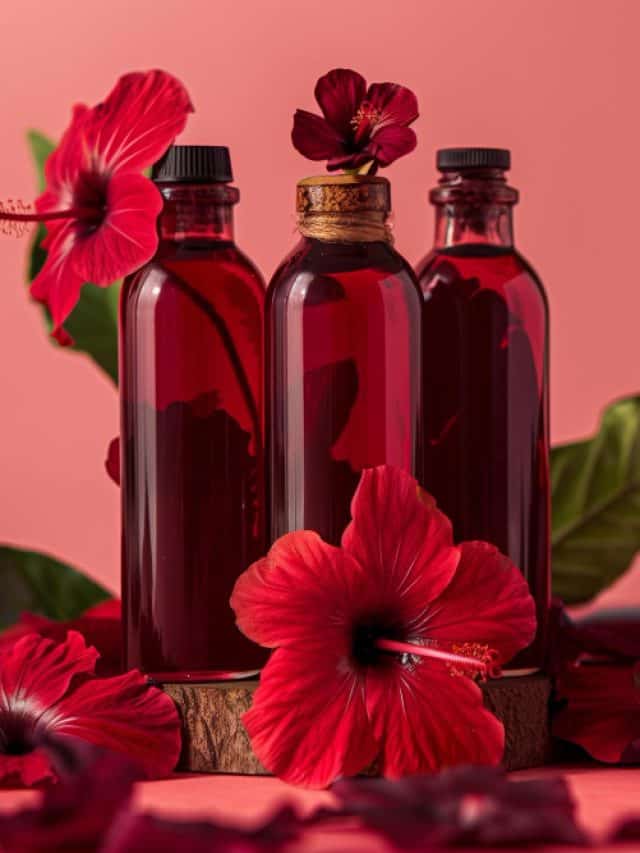 5 facts about hibiscus oil for hair growth 5 facts about hibiscus oil for hair growth