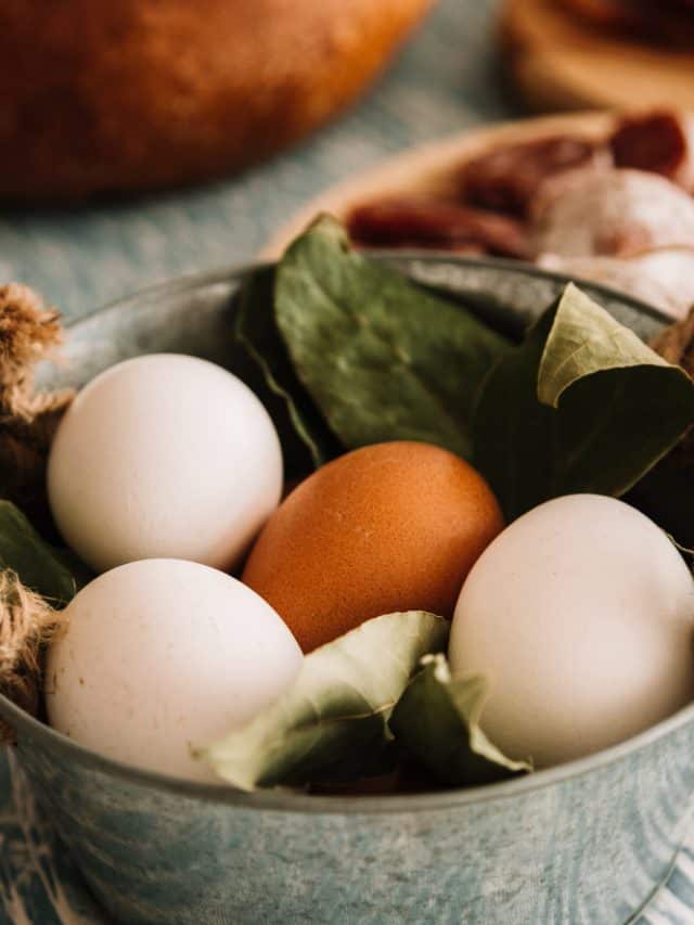 Top 6 vitamin B12 foods