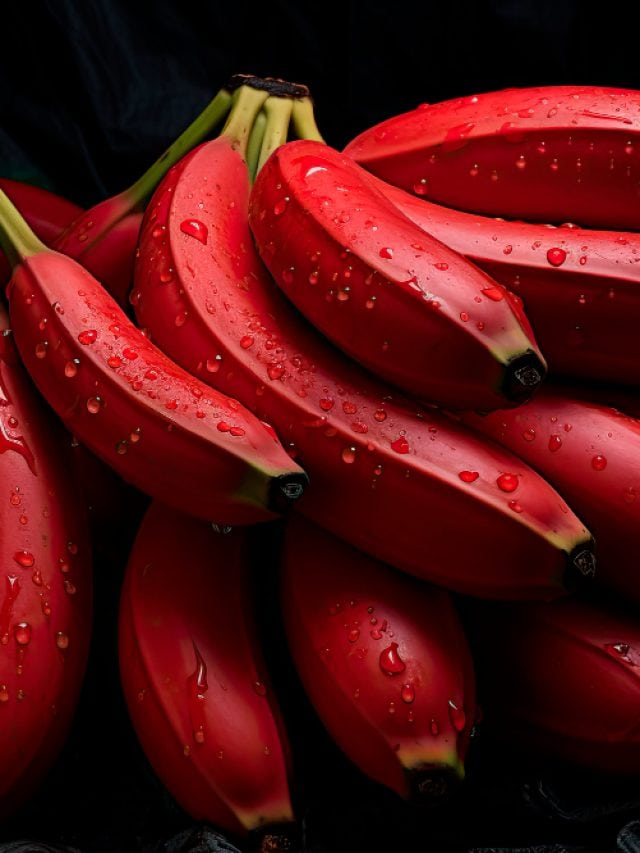 Why red bananas should be your new favorite snack?