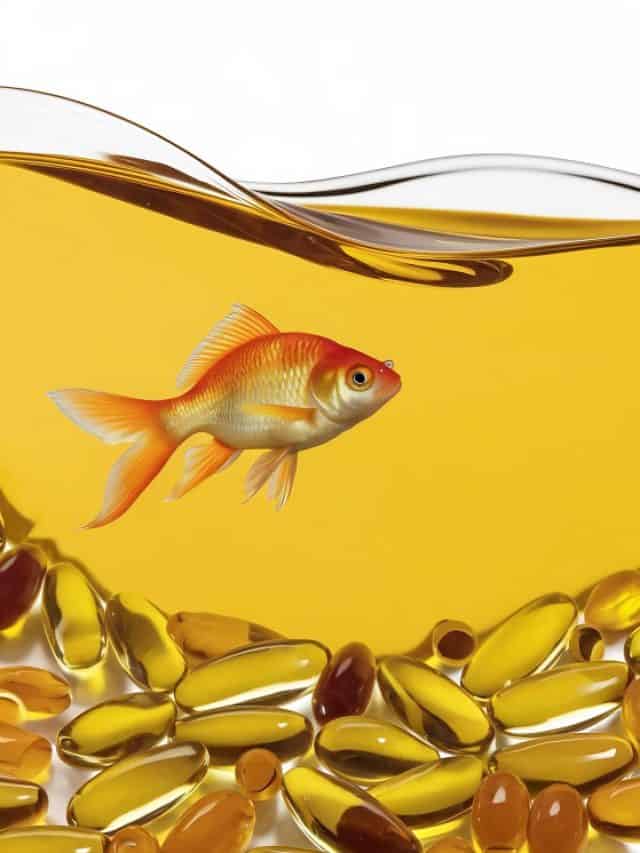 Omega-3 vs. fish oil: What’s the difference?