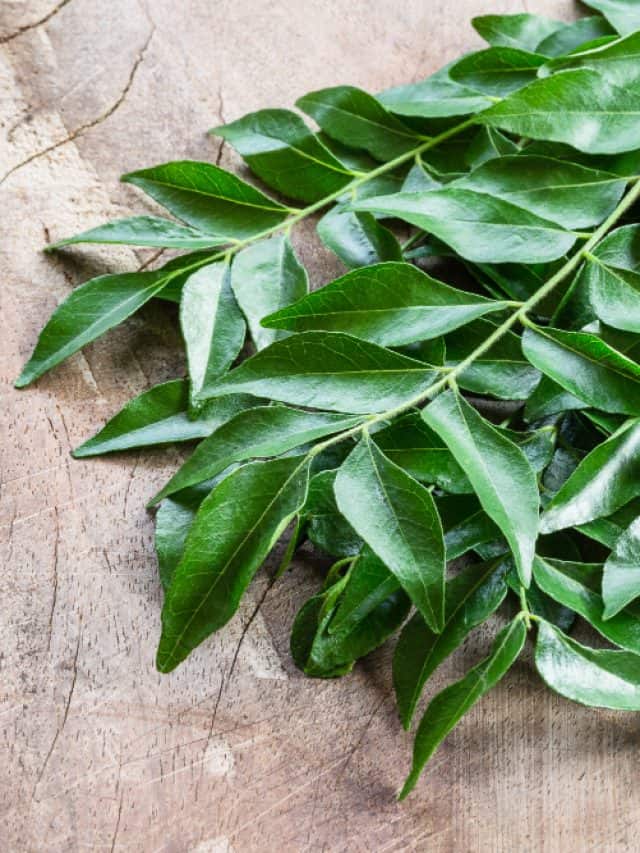 6 surprising health benefits of curry leaves