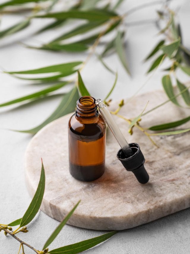 5 best carrier oils for rosemary hair oil